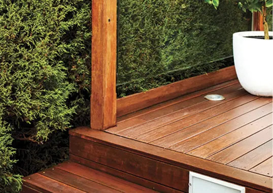 discover more project slide